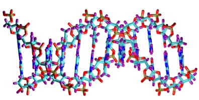 DNA