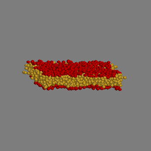 DPD: vesicle 1